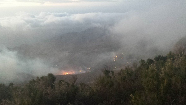 El fuego ha arrasado 14.535 hectáreas, el 0,53% en Canarias