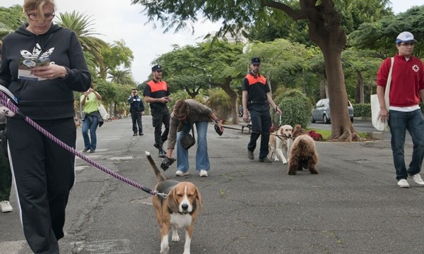 Las sanciones por los excrementos de perros se triplican en Santa Cruz