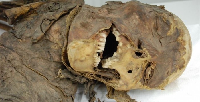 El Museo de la Naturaleza y el Hombre incorpora dos momias guanches