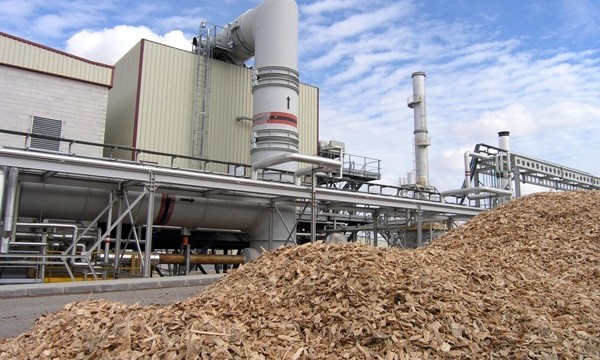 El Cabildo invierte 650.000 euros en la primera planta de biomasa