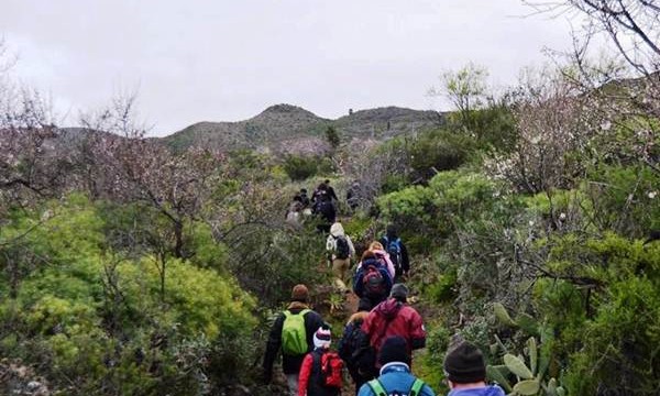 La Ruta del Almendro en Flor reúne a 300 participantes