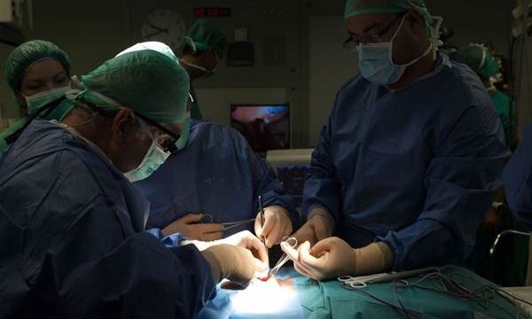Canarias registra más de cien donaciones de riñón en 2014