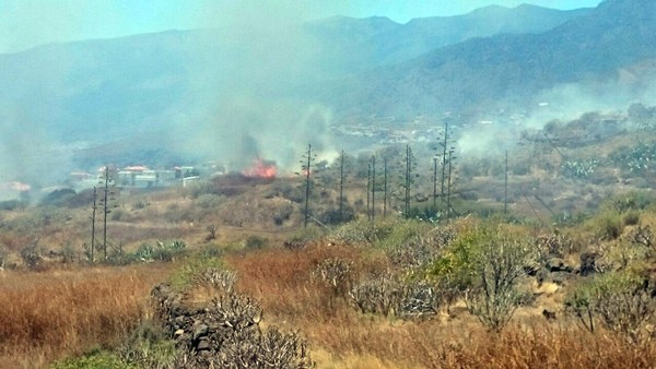 Los bomberos trabajan en la extinción de un incendio de rastrojos en Radazul