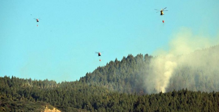 El incendio forestal en Candelaria ya está estabilizado