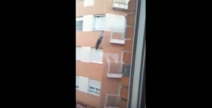 Se mata intentando entrar a su casa por el balcón tras olvidarse las llaves