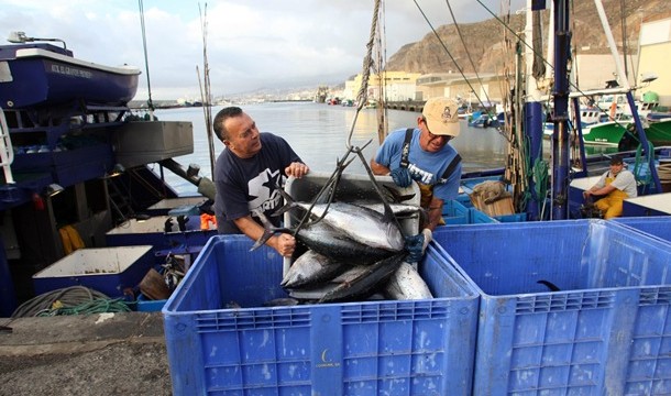 Canarias podrá capturar 40 toneladas más de atún rojo, muy lejos de las 570 pedidas
