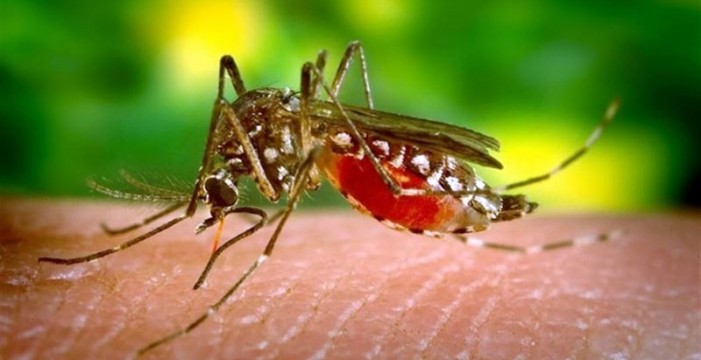  Confirmado el caso importado de virus zika en La Rioja